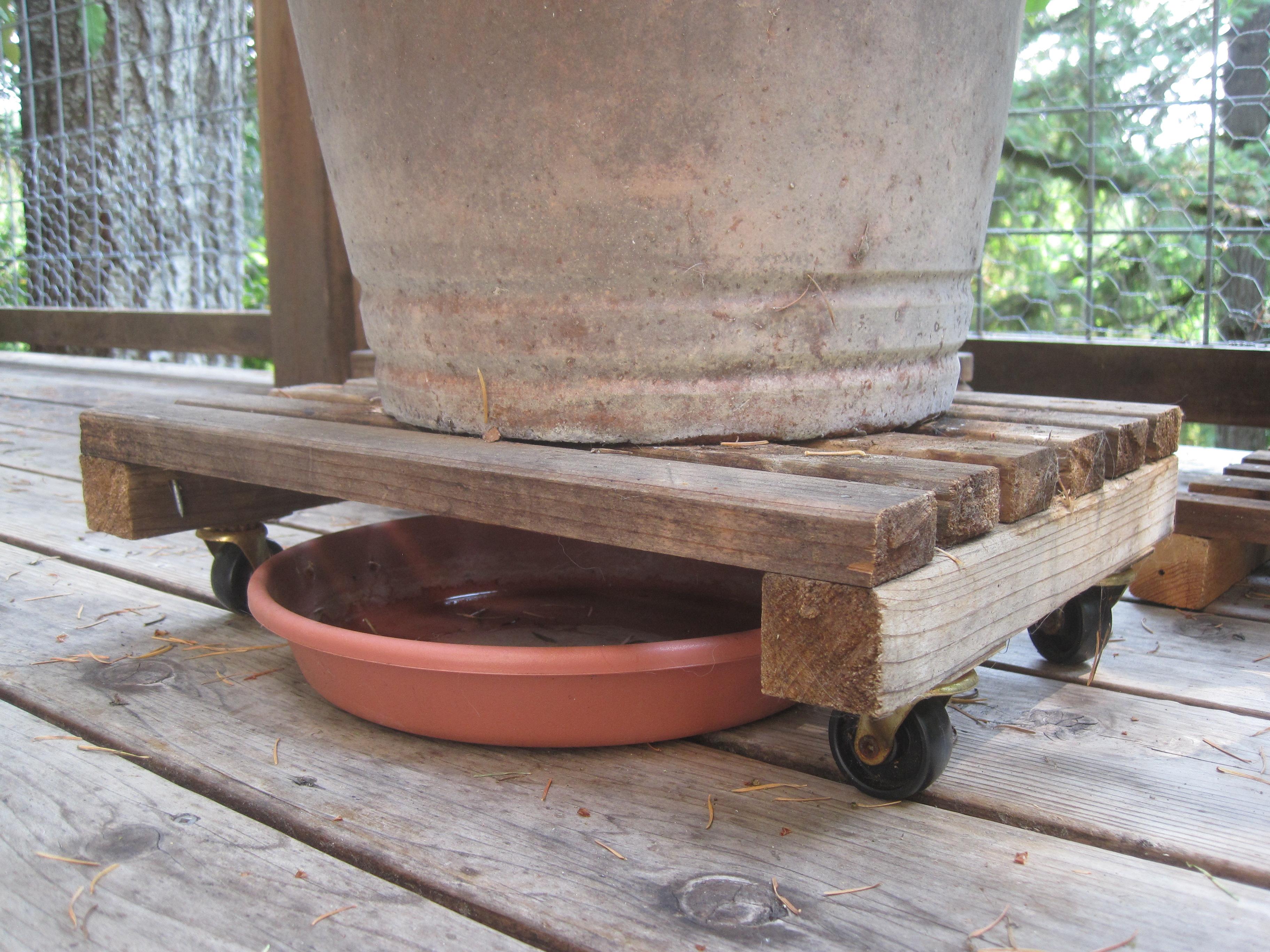 pot dolly with pot and saucer